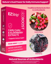 A promotional image showcasing the Camu Camu and Elderberry ingredients in EZStrip Boost, highlighting their antioxidant properties.