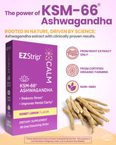A purple box of EZStrip Calm KSM-66 Ashwagandha oral dissolving strips, highlighting stress reduction and mental clarity benefits with honey lemon flavor.