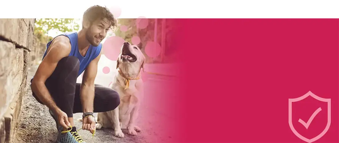 A fit man tying his shoes while his dog looks up at him, with a pink background and a shield icon, representing energy and immune support.