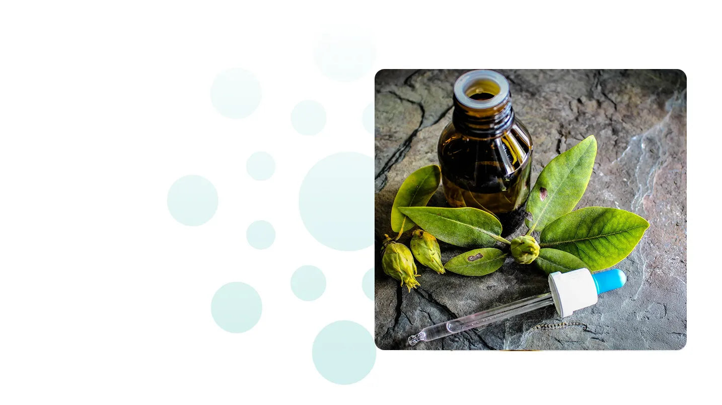image of an eye dropper with herbs
